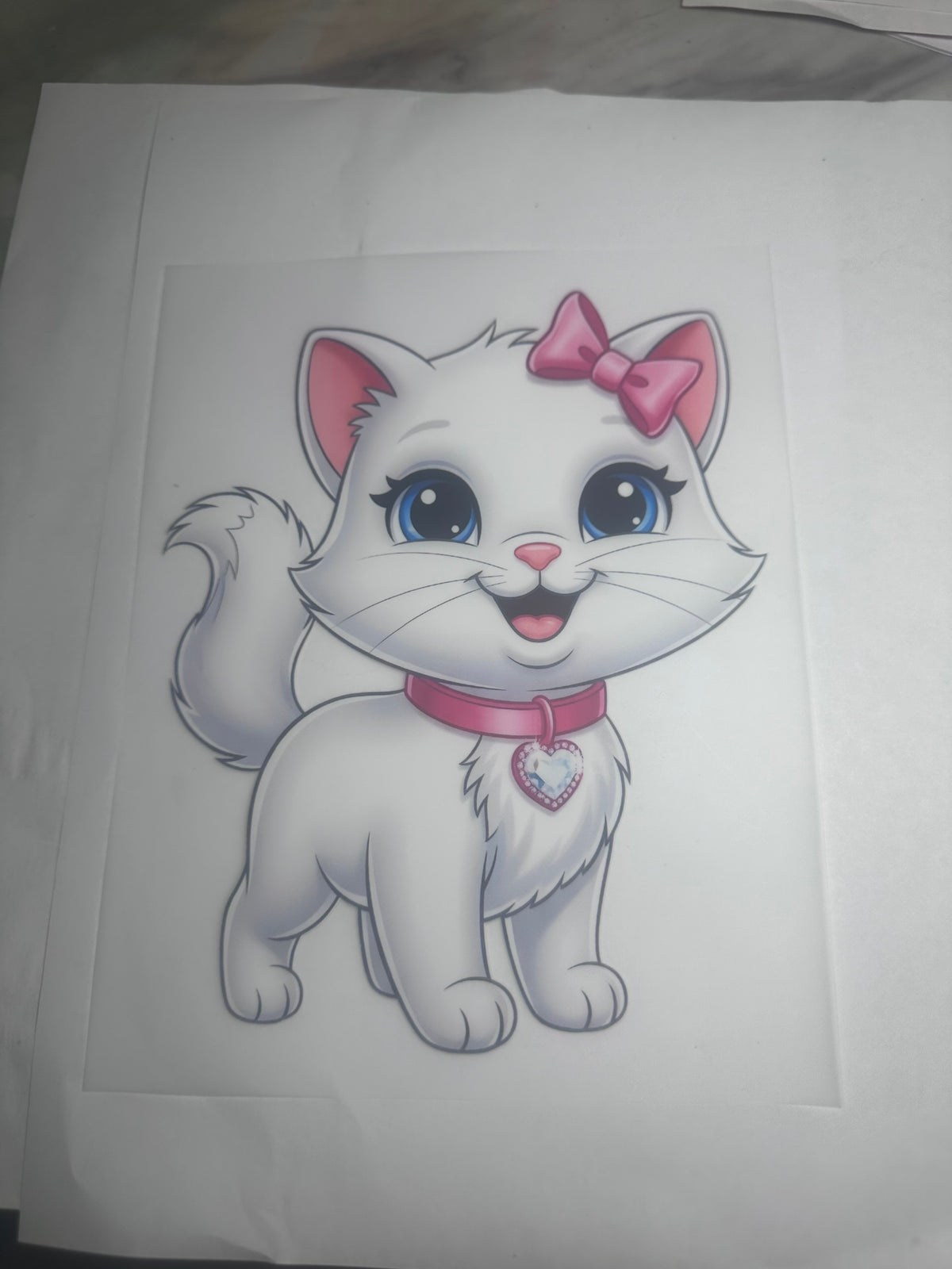 Youth Kitty