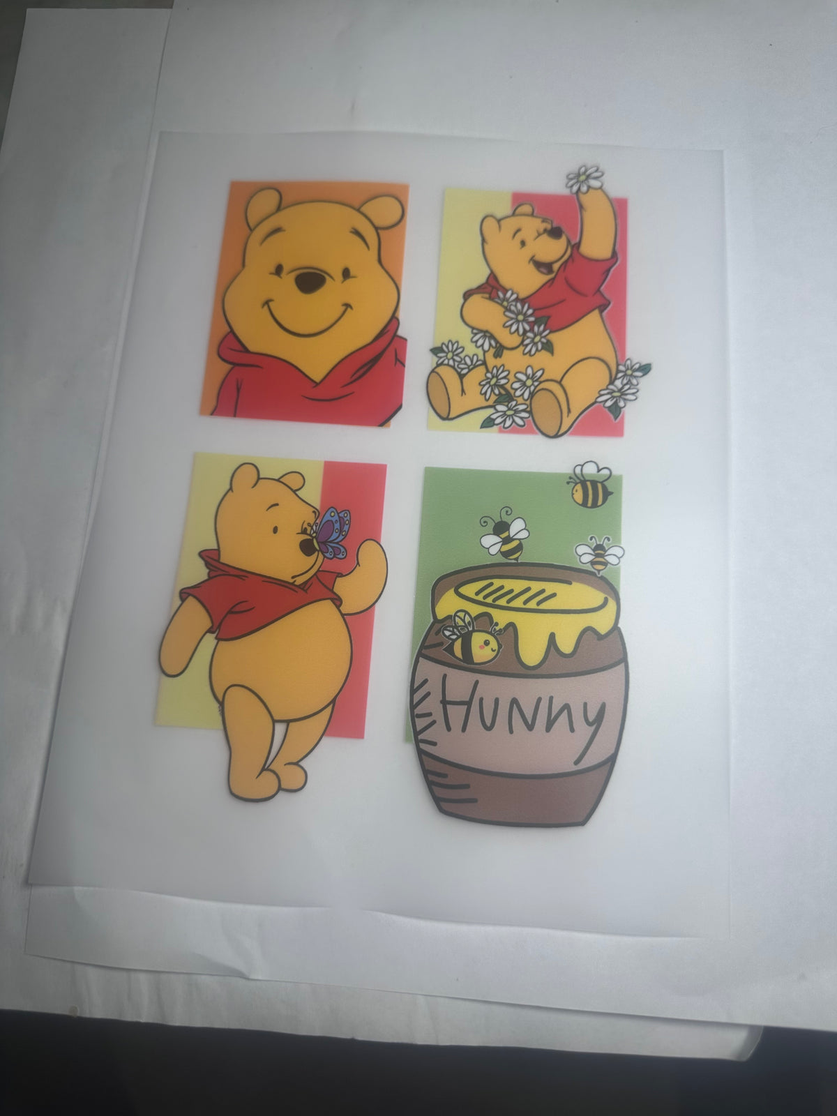 Youth Winnie #2