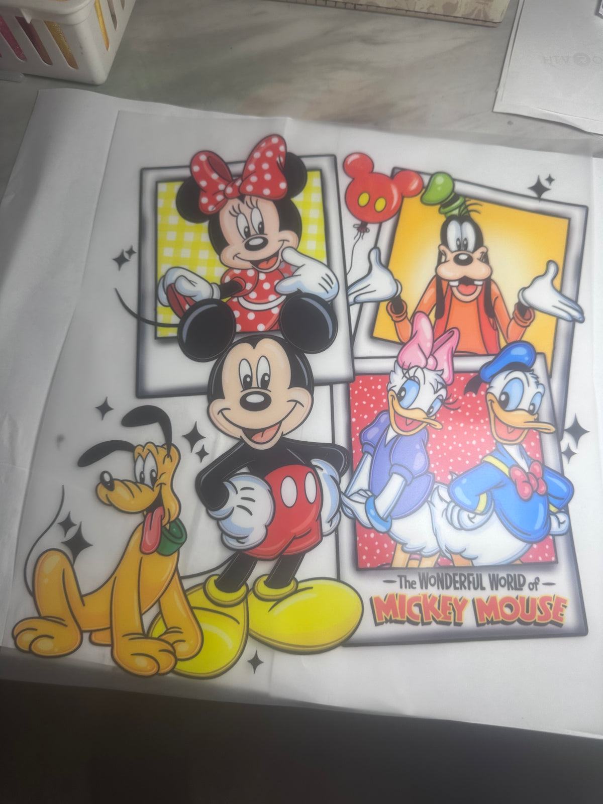 Adult Mickey & Friends