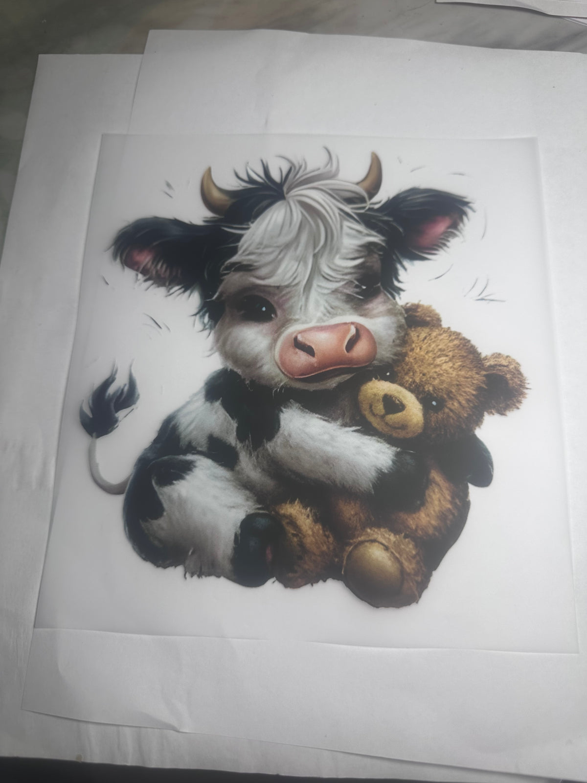 Youth Cow