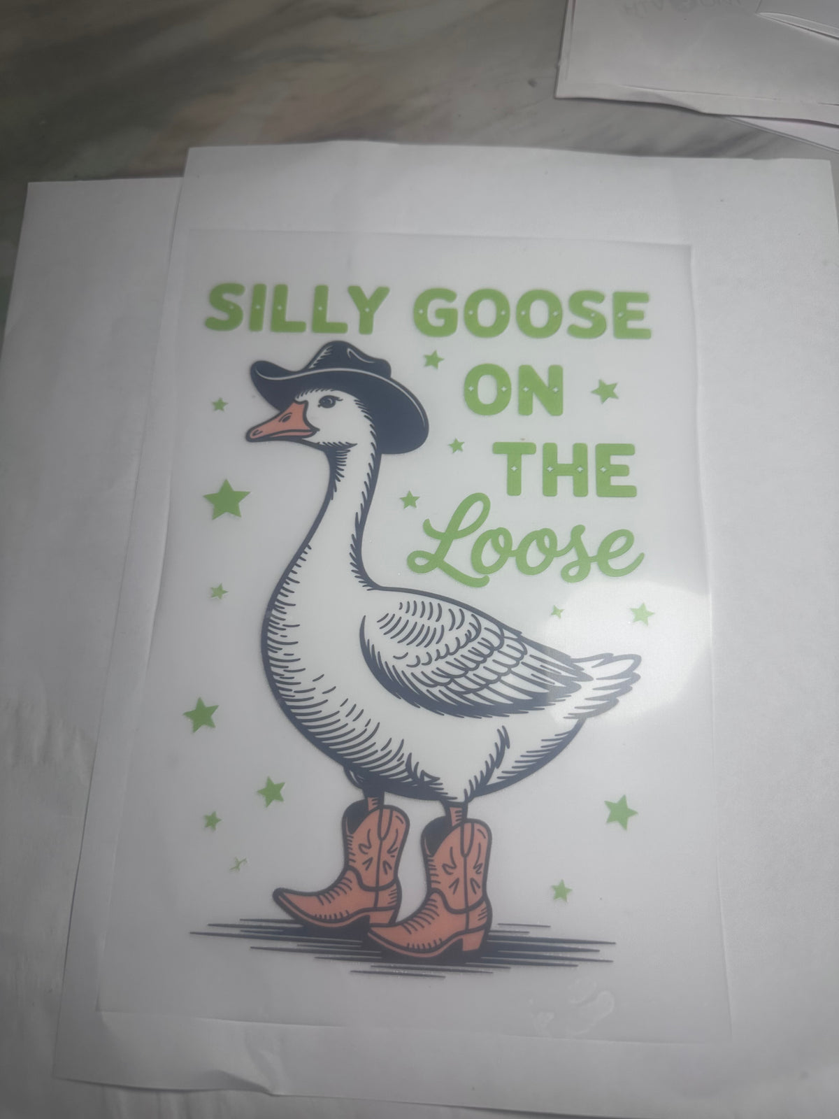 Youth Silly Goose