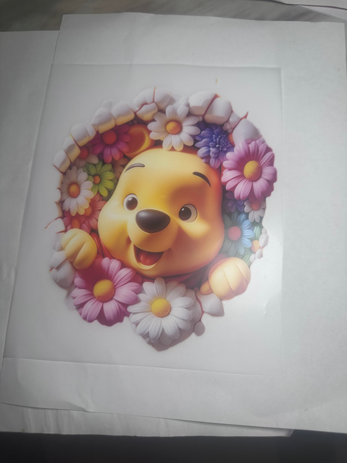 Youth Winnie